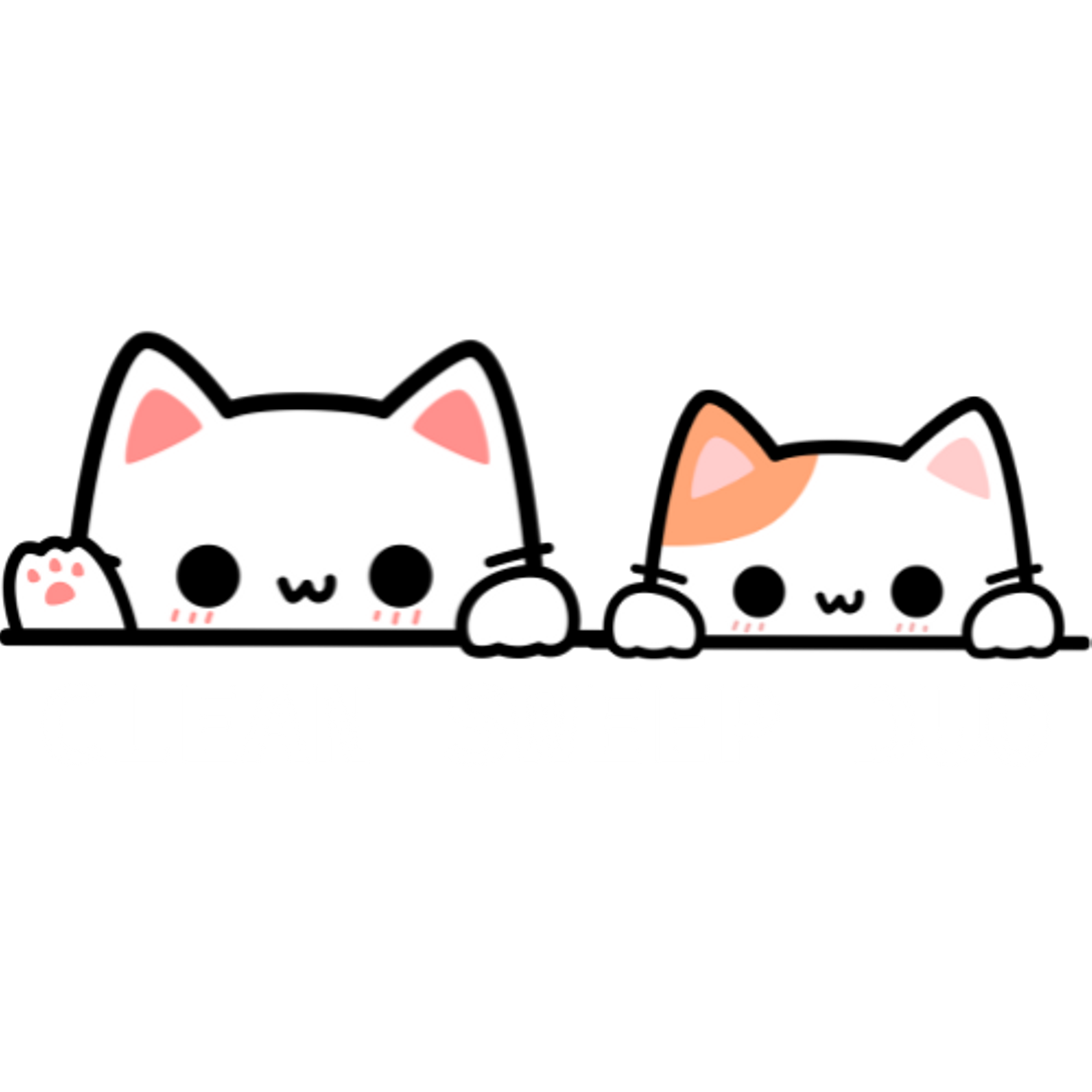 Clean Sweep Duo Logo